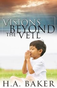 Image of Visions Reyond The Veil