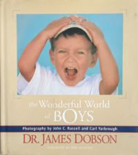 Image of The Wonderful World Of Boys