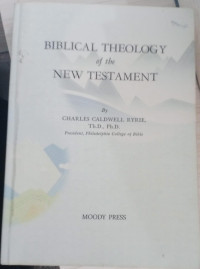 Image of Biblical Theology of the New Testament